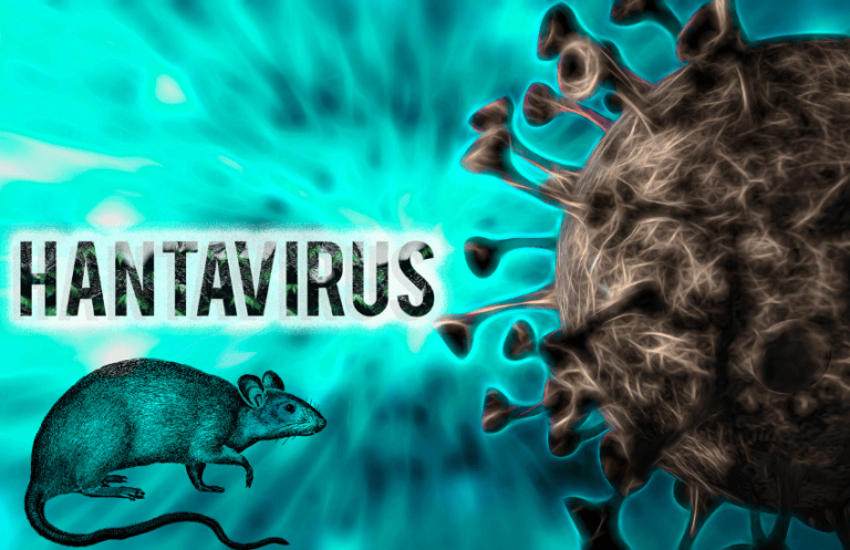 Salud Pública asegura que República Dominicana mantiene bajo riesgo ante hantavirus